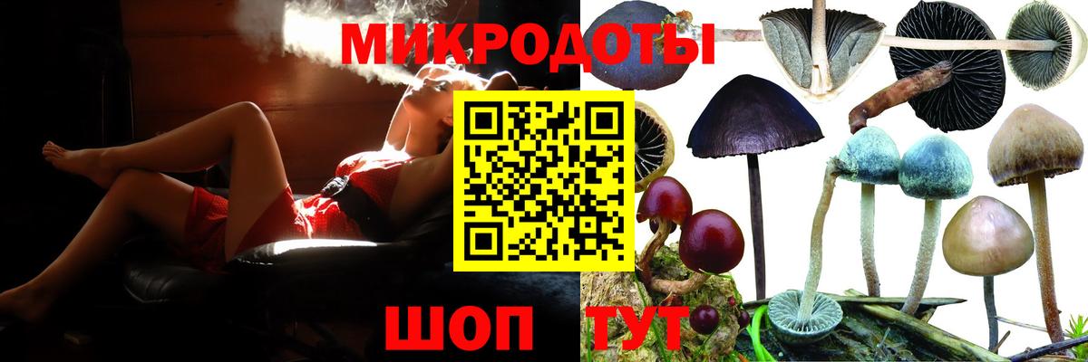 где купить   Вход с VPN  Бутурлиновка  Псилоцибиновые грибы Magic Shrooms 